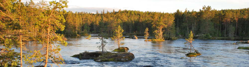 Rybolov ve Švédsku - zahl-153.jpg