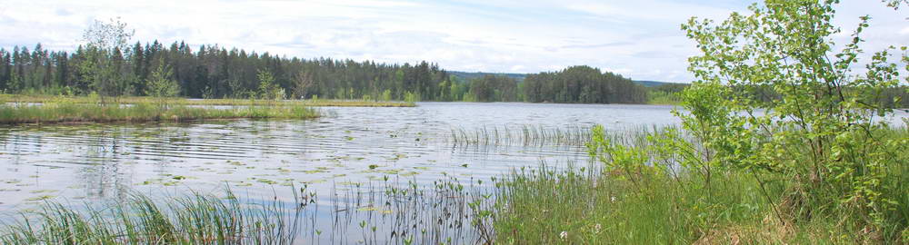 Významné rybářské revíry ve Švédsku - zahl-157.jpg