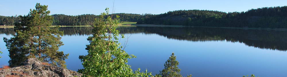 Rybolov ve Švédsku - zahl-161.jpg
