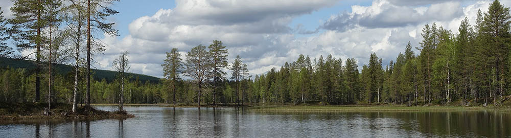 Významné rybářské revíry ve Švédsku - zahl-445.jpg