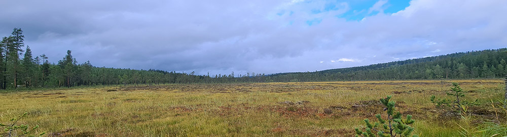 Rybolov ve Švédsku - zahl-465.jpg