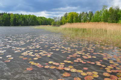 jezero v jiznim Svedsku